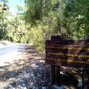 Olympos Sahil Milli Parkı Kamp Rehberi: Tarih, Doğa ve Denizin Buluştuğu Benzersiz Bir Kamp Deneyimi